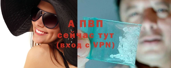 ПСИЛОЦИБИНОВЫЕ ГРИБЫ Каменка