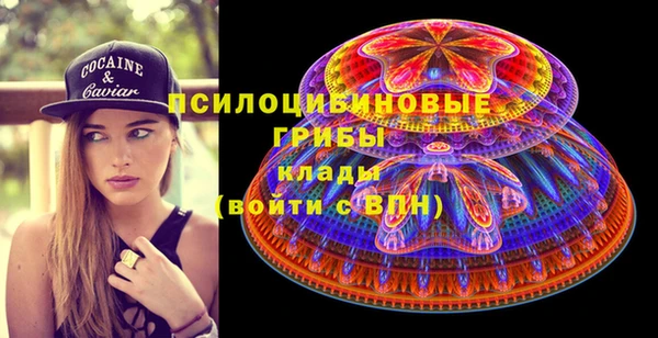 jwh Каменногорск