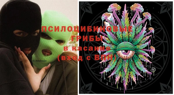 ГАЛЛЮЦИНОГЕННЫЕ ГРИБЫ Каменск-Шахтинский