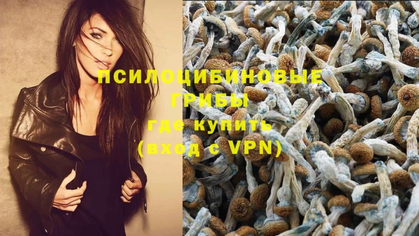 jwh Каменногорск