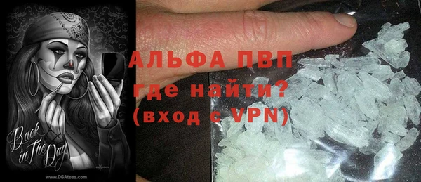 ПСИЛОЦИБИНОВЫЕ ГРИБЫ Каменка