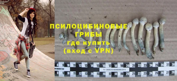 jwh Каменногорск