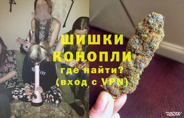 ПСИЛОЦИБИНОВЫЕ ГРИБЫ Каменка