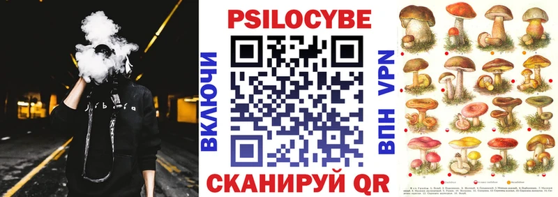 Купить  Злынка  Псилоцибиновые грибы Magic Shrooms 